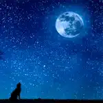 Good Night Images with Quotes