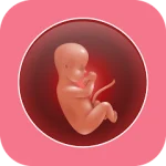 Pregnancy Weeks Tracker