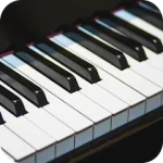 Real Piano Play And Learn